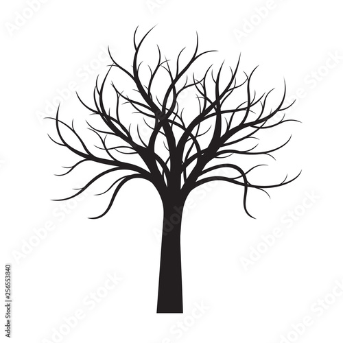 Black naked Tree white background. Vector Illustration.