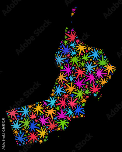 Bright vector cannabis Oman map mosaic on a black background. Template with bright weed leaves for cannabis legalize campaign. Vector Oman map is constructed with cannabis leaves.