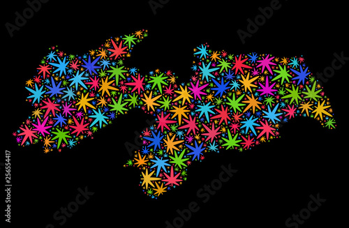 Bright vector cannabis Paraiba State map collage on a black background. Template with bright weed leaves for hemp legalize campaign. Vector Paraiba State map is formed with weed leaves.
