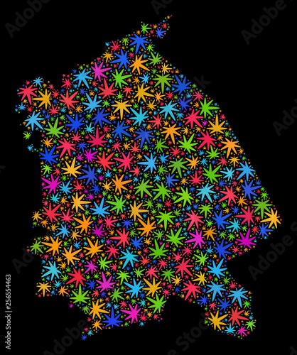 Bright vector cannabis Pavlodar Region map mosaic on a black background. Concept with colored weed leaves for cannabis legalize campaign. Vector Pavlodar Region map is designed with marijuana leaves.