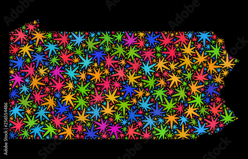 Bright vector cannabis Pennsylvania State map mosaic on a black background. Template with multi-colored weed leaves for cannabis legalize campaign.