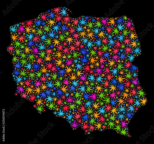 Bright vector cannabis Poland map mosaic on a black background. Concept with colored herbal leaves for weed legalize campaign. Vector Poland map is formed with herbal leaves.