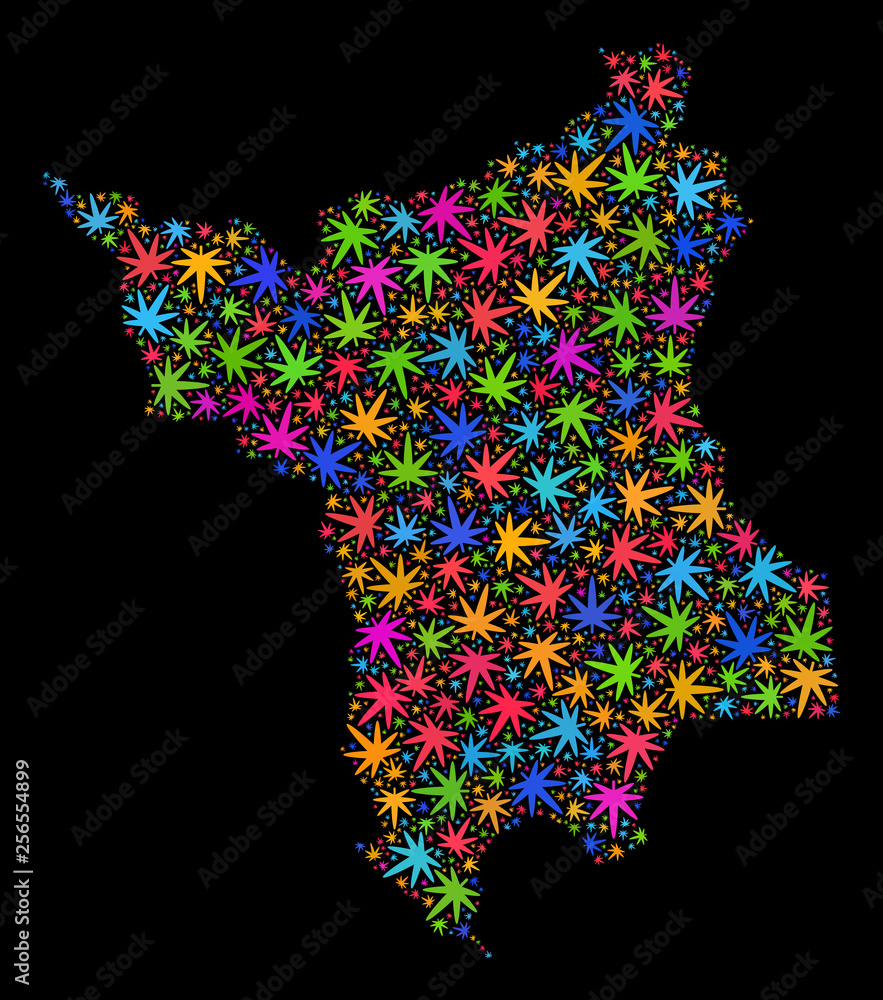 Bright vector cannabis Roraima State map mosaic on a black background. Concept with colorful herbal leaves for cannabis legalize campaign. Vector Roraima State map is created with cannabis leaves.