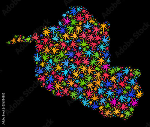 Bright vector cannabis Rondonia State map collage on a black background. Concept with multi-colored herbal leaves for cannabis legalize campaign.