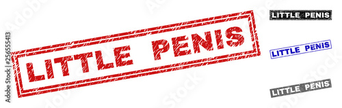 Grunge LITTLE PENIS rectangle stamp seals isolated on a white background. Rectangular seals with distress texture in red, blue, black and grey colors.