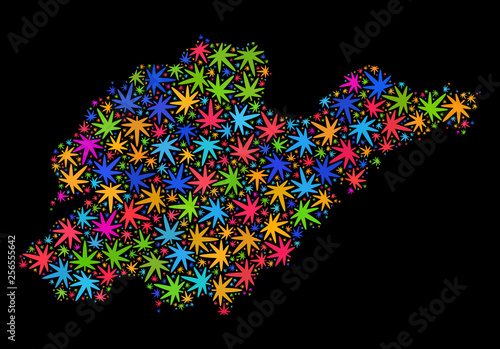 Bright vector cannabis Shandong Province map mosaic on a black background. Template with multi-colored herbal leaves for cannabis legalize campaign.
