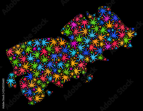 Bright vector marijuana Shikotan Island map collage on a black background. Concept with bright weed leaves for weed legalize campaign. Vector Shikotan Island map is created with weed leaves.