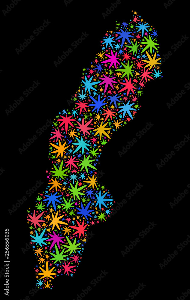 Bright vector cannabis Sweden map mosaic on a black background. Template with colorful weed leaves for cannabis legalize campaign. Vector Sweden map is composed with weed leaves. Bright vector cannabis Sweden map mosaic on a black background. Template with colorful weed leaves for cannabis legalize campaign. Vector Sweden map is composed with weed leaves.