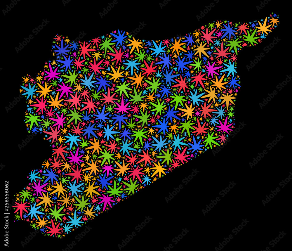 Bright vector cannabis Syria map mosaic on a black background. Template with psychedelic weed leaves for cannabis legalize campaign. Vector Syria map is composed with weed leaves. Bright vector cannabis Syria map mosaic on a black background. Template with psychedelic weed leaves for cannabis legalize campaign. Vector Syria map is composed with weed leaves.