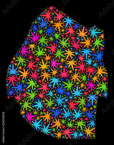 Bright vector marijuana Swaziland map collage on a black background. Concept with bright herbal leaves for marijuana legalize campaign. Vector Swaziland map is designed with marijuana leaves.