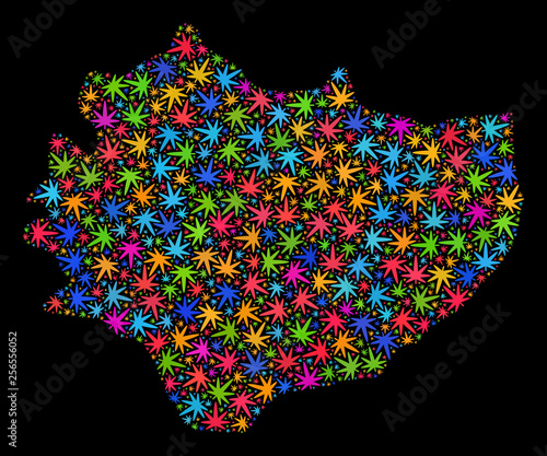 Bright vector cannabis Swietokrzyskie Voivodeship map mosaic on a black background. Template with colorful weed leaves for cannabis legalize campaign.