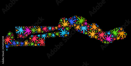 Bright vector cannabis the Gambia map mosaic on a black background. Template with bright herbal leaves for cannabis legalize campaign. Vector the Gambia map is created of weed leaves.