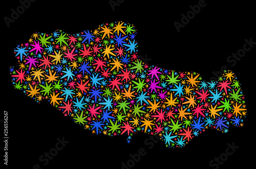 Bright vector marijuana Tibet map collage on a black background. Concept with colored weed leaves for weed legalize campaign. Vector Tibet map is created with marijuana leaves.