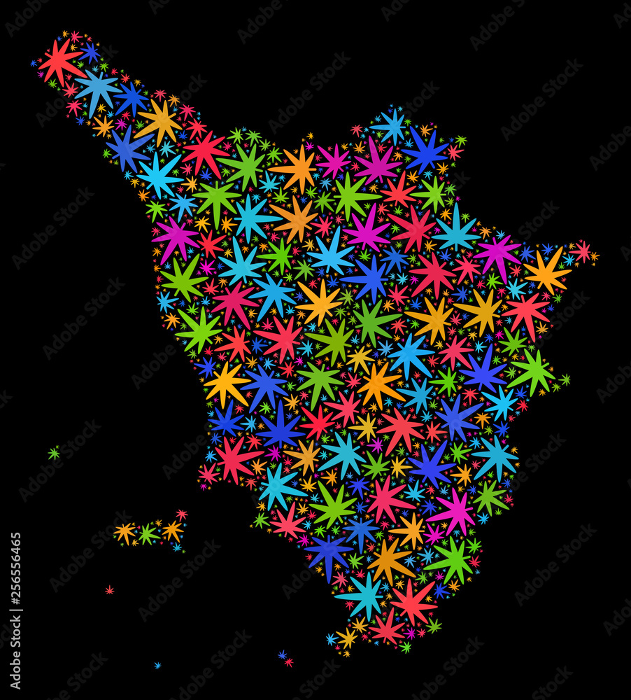 Bright vector marijuana Tuscany region map collage on a black background. Template with colorful herbal leaves for weed legalize campaign. Vector Tuscany region map is composed with herbal leaves.