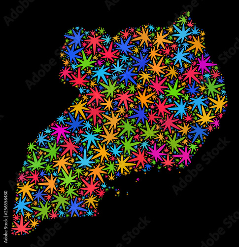 Bright vector cannabis Uganda map mosaic on a black background. Template with bright weed leaves for cannabis legalize campaign. Vector Uganda map is created with ganja leaves.