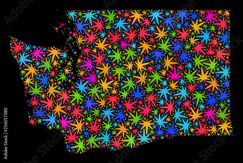 Bright vector cannabis Washington State map collage on a black background. Template with bright weed leaves for cannabis legalize campaign.