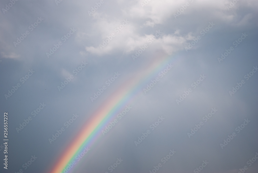 The Rainbow after the storm The Rainbow after the storm