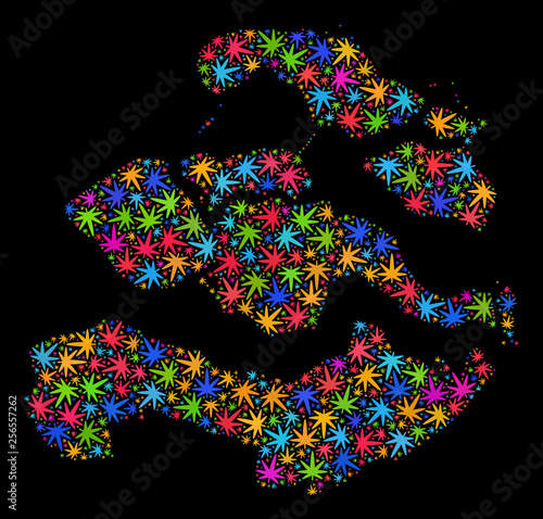 Bright vector cannabis Zeeland Province map mosaic on a black background. Template with bright herbal leaves for cannabis legalize campaign.