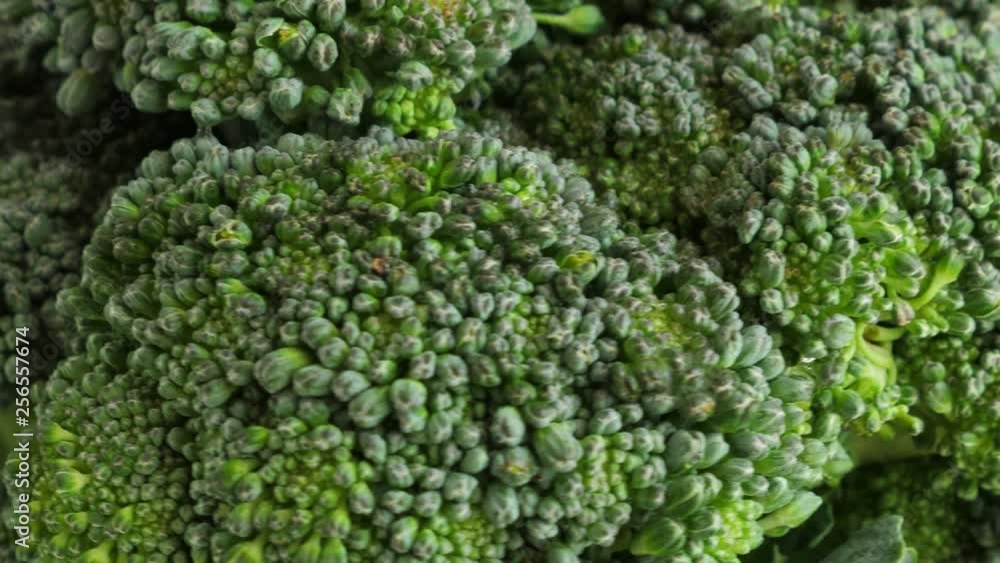 Green broccoli. Top view. Rotate. Nobody Green broccoli. Top view. Rotate. Nobody