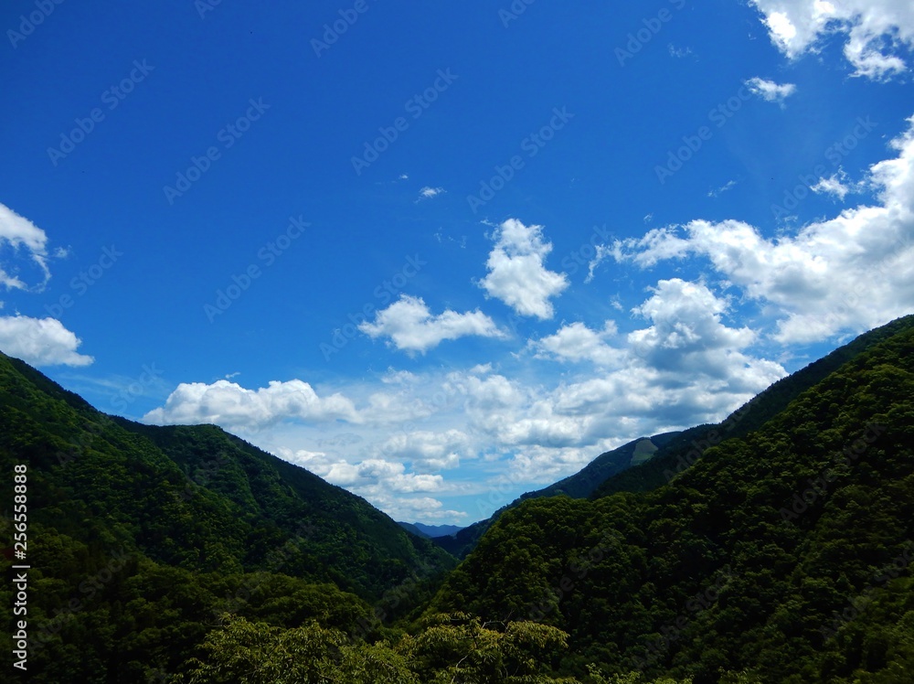 Naklejka premium 奥多摩湖周辺の景色