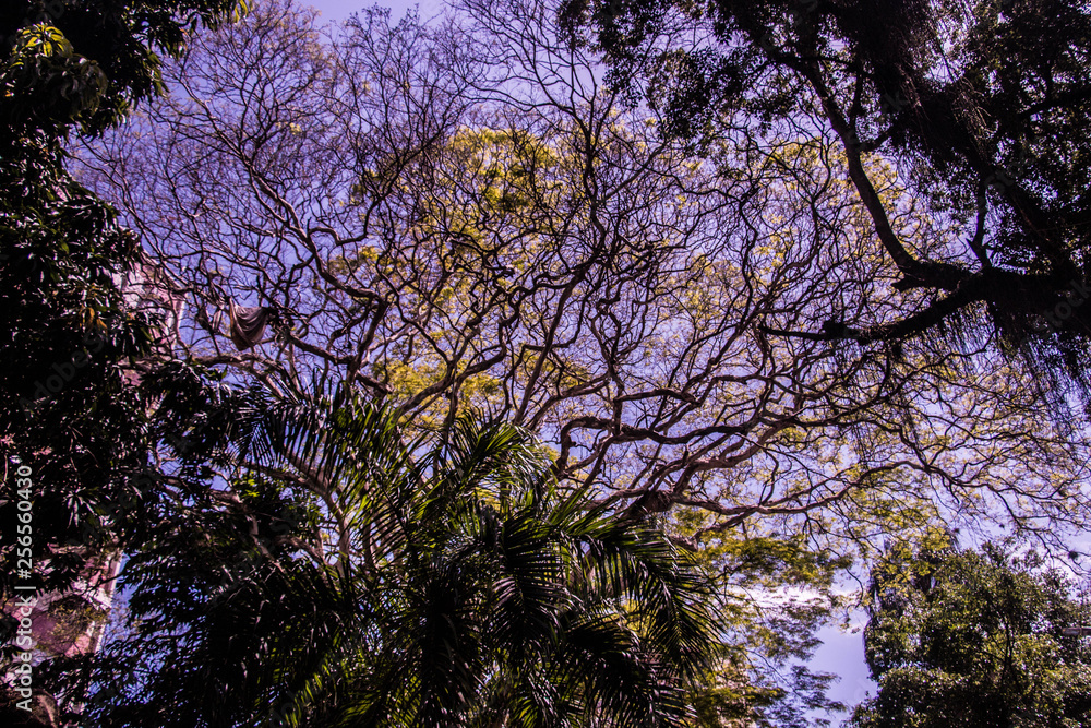 Obraz premium Paisagem