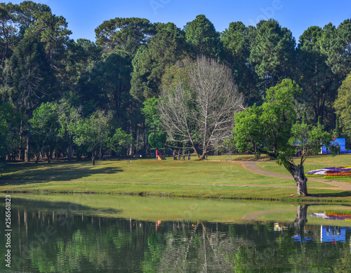 Botanic garden in Pyin Oo Lwin, Myanmar photo