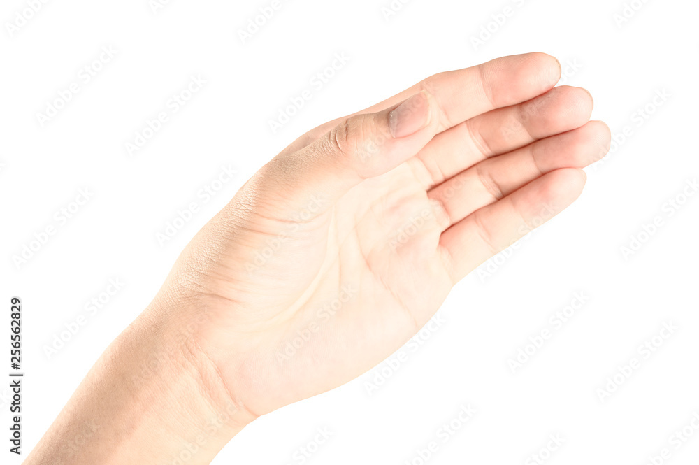 hand holding something like a bottle or can hand holding something like a bottle or can