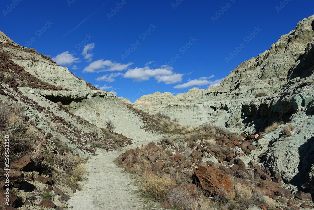 Blue Basin in the Sheep Rock Unit of the John Day Fossil Beds National Monument of Oregon