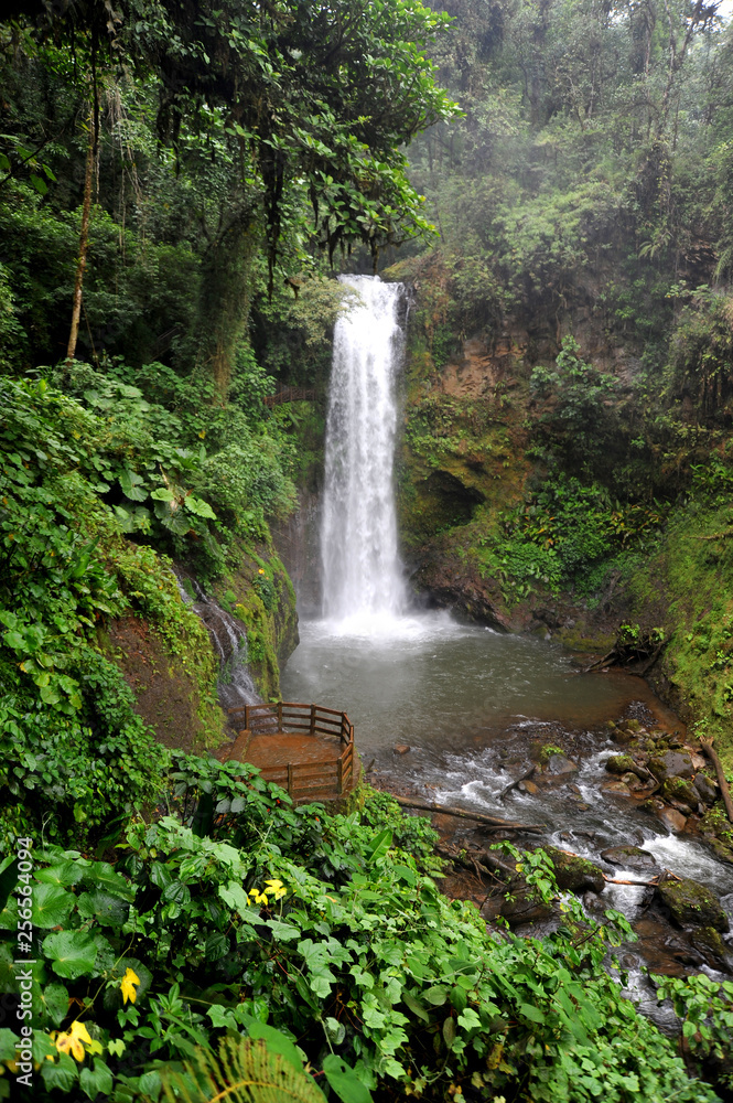 This incredible waterfall is in Costa Rica in the old world forest of Lapaz Waterfall Park. 