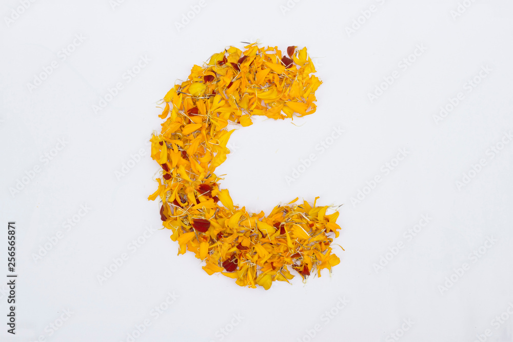 Spring Flower Letter concept of Marigold petal. Marigold petal alphabet isolated on white background. Letter C concept Logo. Spring Flower Letter concept of Marigold petal. Marigold petal alphabet isolated on white background. Letter C concept Logo.