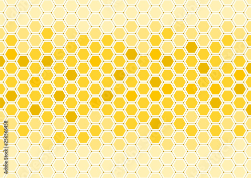 Abstract Orange Background_Honeycomb Structure, Vector Graphics