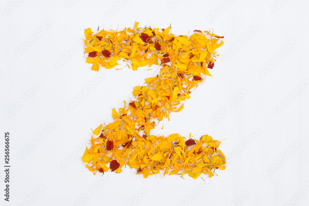Spring Flower Letter concept of Marigold petal. Marigold petal alphabet isolated on white background. Letter Z concept Logo.