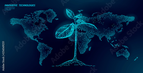 Plant sprout ecological abstract concept. 3D render seedling tree leaves. Save planet Earth nature environment grow life eco polygon triangles low poly vector illustration