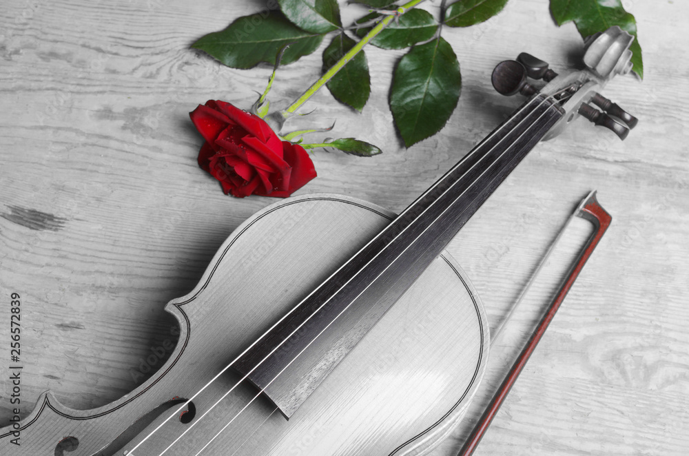 Fototapeta premium Violin and red rose