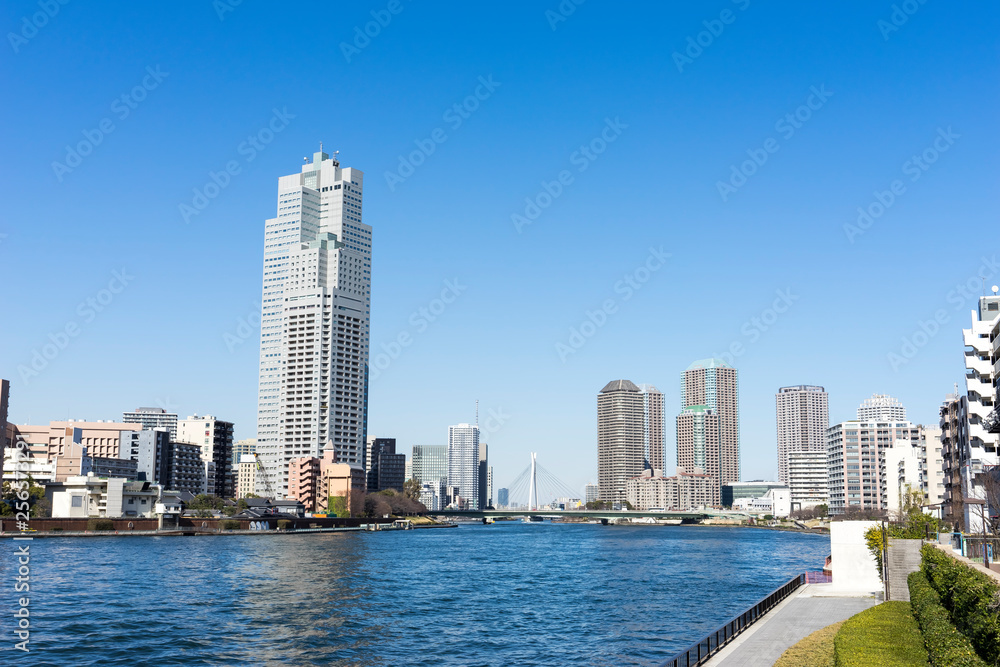 Fototapeta premium 春の隅田川の風景 scenery of Sumida River in spring