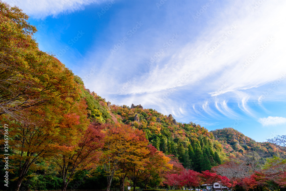 Obraz premium 耶馬渓の紅葉