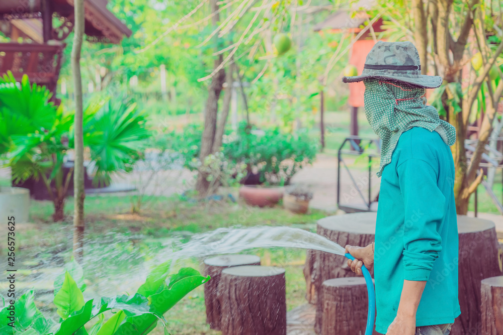 Senior man watering plants with hose and working in garden. Summer evening in countryside house.. Senior man watering plants with hose and working in garden. Summer evening in countryside house..
