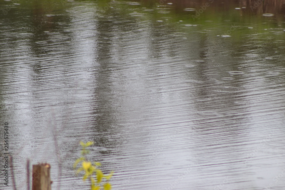 Fototapeta premium lago 5