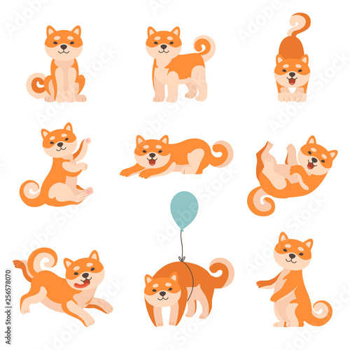Shiba Inu Dogs Performing Everyday Activities Set, Adorable Japan Pets Animals Cartoon Characters Vector Illustration