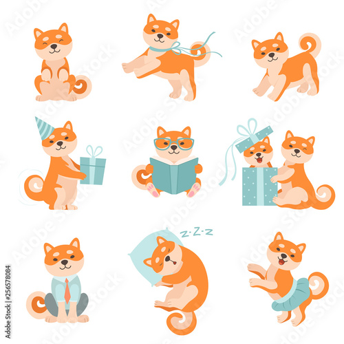Shiba Inu Dogs in Different Situations Set, Adorable Japan Pets Animals Cartoon Characters Vector Illustration