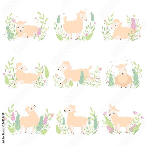 Collection of Adorable Little Lambs on Beautiful Spring Meadow, Cute Sheeps in Different Poses Vector Illustration