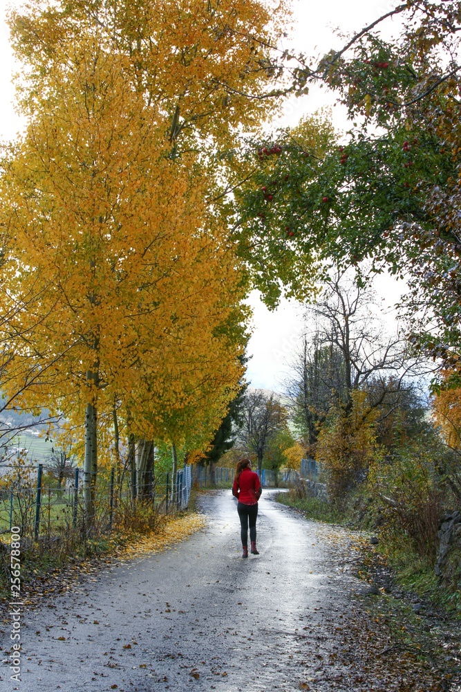 Woman walking on misty autumn forest road .turkey Woman walking on misty autumn forest road .turkey
