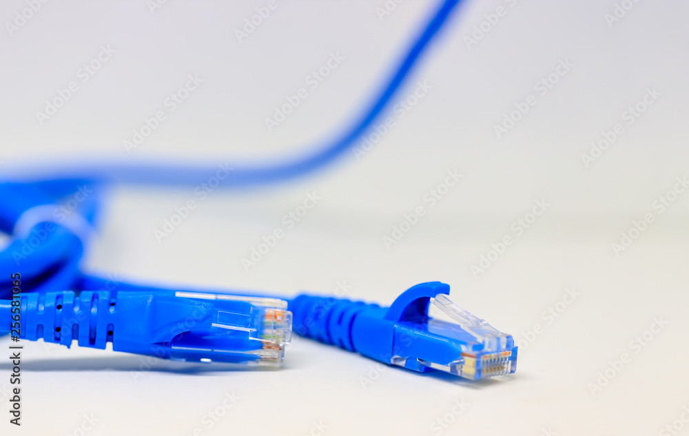 Close up blue colour ethernet network cables isolate on white background,Bunch of blue color RJ45 cable,Spot focus.