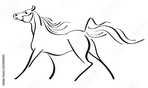 Image of a arabian horse in lines