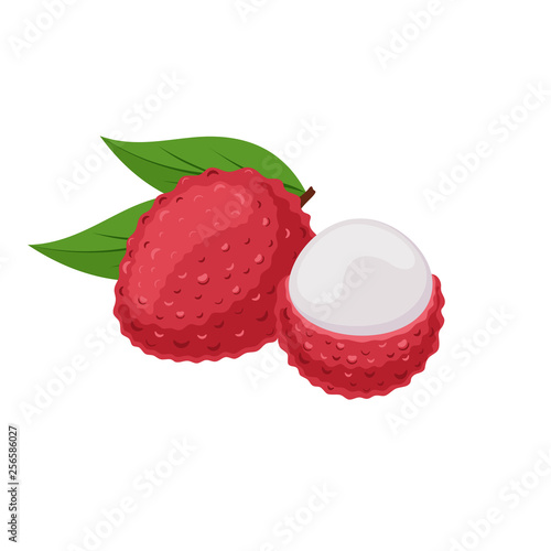 Lychee fruit on white background. Tropical fruit in flat style.