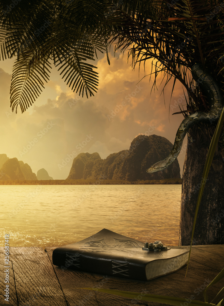 Fototapeta premium zamknąć widok antycznej książki na powrót słońca zwrotnik