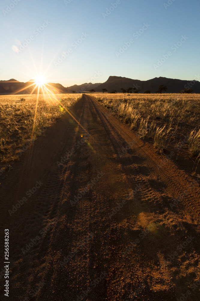 Naklejka premium Sandy track in namibia.