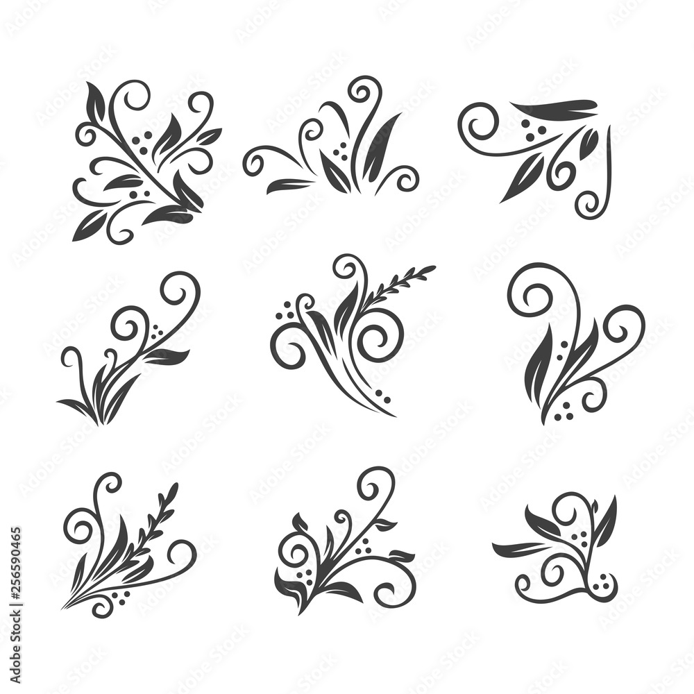 floral ornament set vector floral ornament set vector