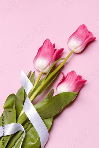 Fototapeta Naklejka Na Ścianę i Meble -  Pink tulips flowers bouquet with white ribbon on pink background, close up. Spring concept for design. Women's day, Mother's day, Valentines day card