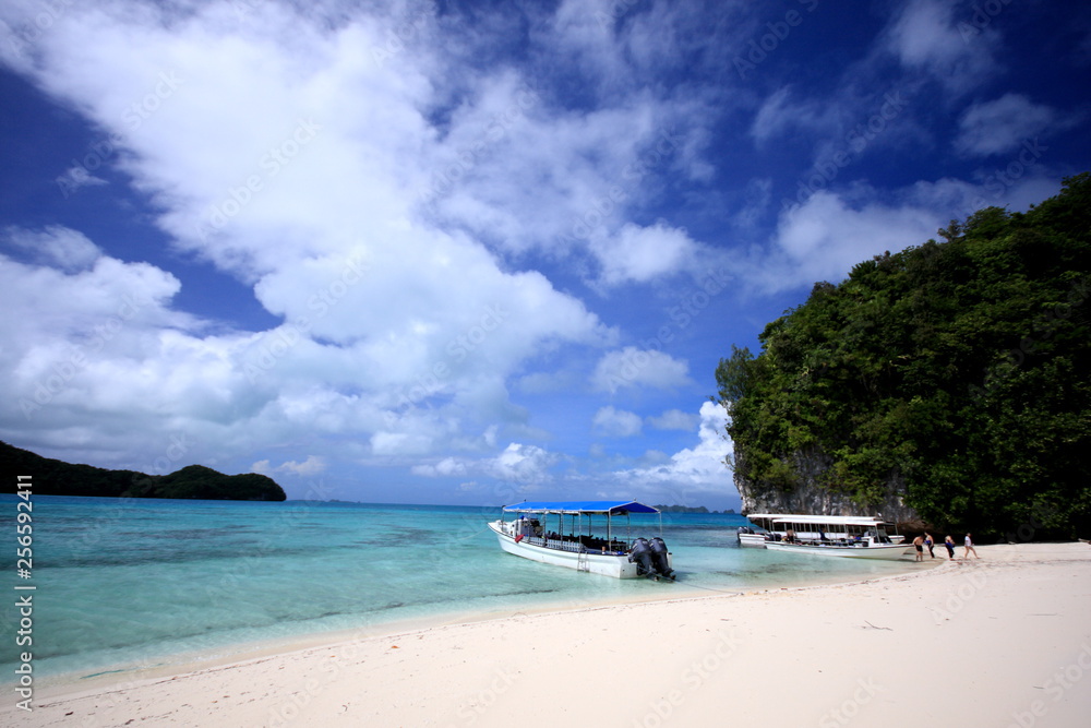 Obraz premium blue sky